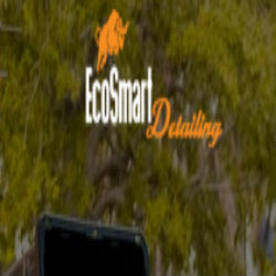 EcoSmart Detailing LLC