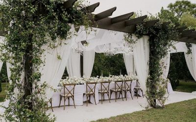 Opulence Entertainment Group