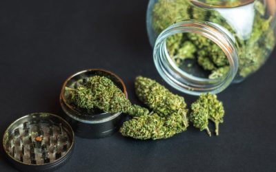Kurators Dispensary