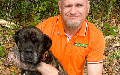 Bark Busters Home Dog Training Brevard County