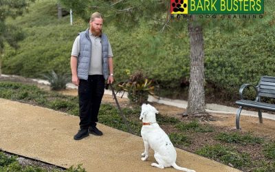 Bark Busters Home Dog Training Orange County South