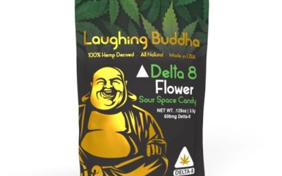 Laughing Buddha