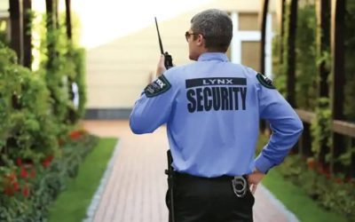 Lynx Security Company