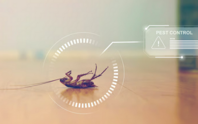 Bug Bust Pest Control